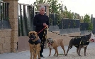 Cesar Millan: Guter Mensch, guter Hund | TV-Programm von sixx