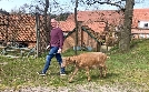 Die Nordreportage | TV-Programm von NDR