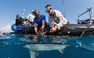 Flussdeltas: Paradiese zwischen Land und Meer | TV-Programm von arte