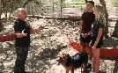 Cesar Millan: Guter Mensch, guter Hund | TV-Programm von sixx