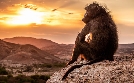 Planet Erde 3 | TV-Programm von 3sat