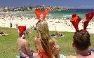 Bondi Beach - Die Rettungsschwimmer von Sydney | TV-Programm von DMAX