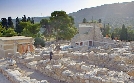 Abenteuer Archäologie | TV-Programm von arte