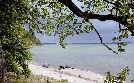 Wilde Ostsee | TV-Programm von arte