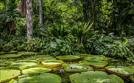 Die grössten Flüsse der Erde (1/6). Der Amazonas  | Sa 17.08. 20:15 phoenix