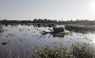 Europa, von wegen wild! | TV-Programm von arte