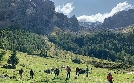 Trentino entdecken | TV-Programm von hr
