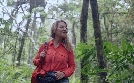 Terra X | TV-Programm von zdfinfo