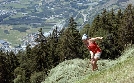 Bergbäuerinnen in Südtirol | TV-Programm von 3sat