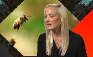 Deutschlands größte Geheimnisse | TV-Programm von SAT.1