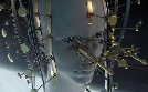 Strangest Things | TV-Programm von N24 Doku