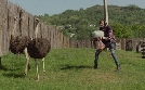 Der Tierstimmensammler oder Das Lied der Scheuen Stockente | TV-Programm von mdr