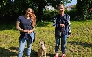 Der Hundeprofi - Rütters Team | TV-Programm von VOX