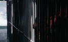 Locked Up! Die härtesten Gefängnisse der Welt | TV-Programm von WELT
