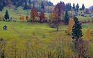 Kulinarische Genüsse im Herbst | TV-Programm von SWR