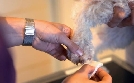 Die Tierärzte - Retter mit Herz | TV-Programm von hr