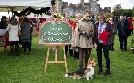 A Royal Corgi Christmas - Weihnachten wird königlich  | Do 28.11. 20:15 RTL SUPER