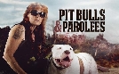 Pitbulls auf Bewährung | TV-Programm von TLC