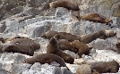 Tasmanien - Insel am Ende der Welt | TV-Programm von 3sat