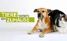 Tiere suchen ein Zuhause | TV-Programm von WDR