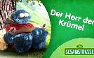 Sesamstraße | TV-Programm von NDR
