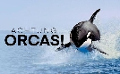 Achtung Orcas! Gefahr vor Gibraltar? | TV-Programm von arte