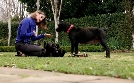 Haustierhelden - Pfoten in Not | TV-Programm von sixx