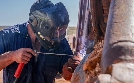 Outback Opal Hunters - Edelsteinjagd in Australien  | So 02.02. 20:15 DMAX