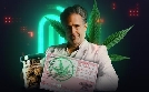 Gras online kaufen - Das dubiose Cannabusiness von 
