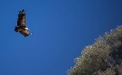 natur exclusiv | TV-Programm von BR