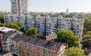 Gute Nachrichten vom Planeten | TV-Programm von arte