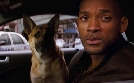 I Am Legend  | Fr 07.02. 22:05 RTLZWEI