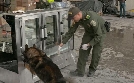 Border Patrol Südamerika  | Sa 08.02. 20:15 n-tv