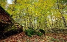 Österreichs Erbe für die Welt - Meisterwerke, Urwälder und Prachtbauten | TV-Programm von phoenix