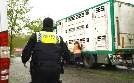 Achtung Tiertransport - Lange Wege auf den Teller | TV-Programm von tagesschau24