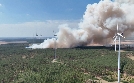 Deutschlands Wald im Wandel | TV-Programm von N24 Doku