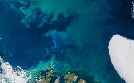 Ein perfekter Planet | TV-Programm von 3sat