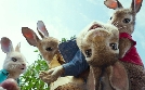 Peter Hase | TV-Programm von SAT.1