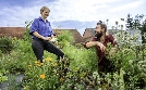 Raus aufs Land | TV-Programm von RBB