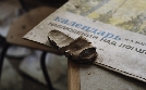 Lost Places - Geheime Welten | TV-Programm von WELT