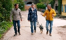 Achtung Lebensgefahr - Straßenhund frisst Abfall | TV-Programm von hr