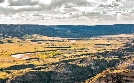 Die Prärie - Rückkehr der Wildnis | TV-Programm von phoenix