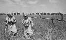 Tschernobyl - Die Katastrophe | TV-Programm von zdfinfo