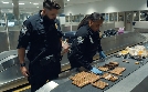 Airport Security USA | TV-Programm von N24 Doku