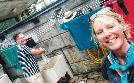 Da will ich hin! | TV-Programm von SWR