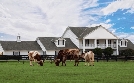 Dallas | TV-Programm von Tele 5