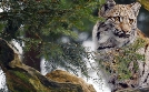 Im Tal des Königs - Kanaltal und Tagliamento | TV-Programm von arte