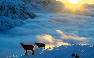 Abenteuer Wildnis | TV-Programm von BR