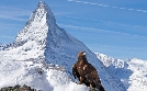 Expeditionen ins Tierreich | TV-Programm von NDR