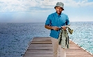 Death in Paradise | TV-Programm von zdf_neo